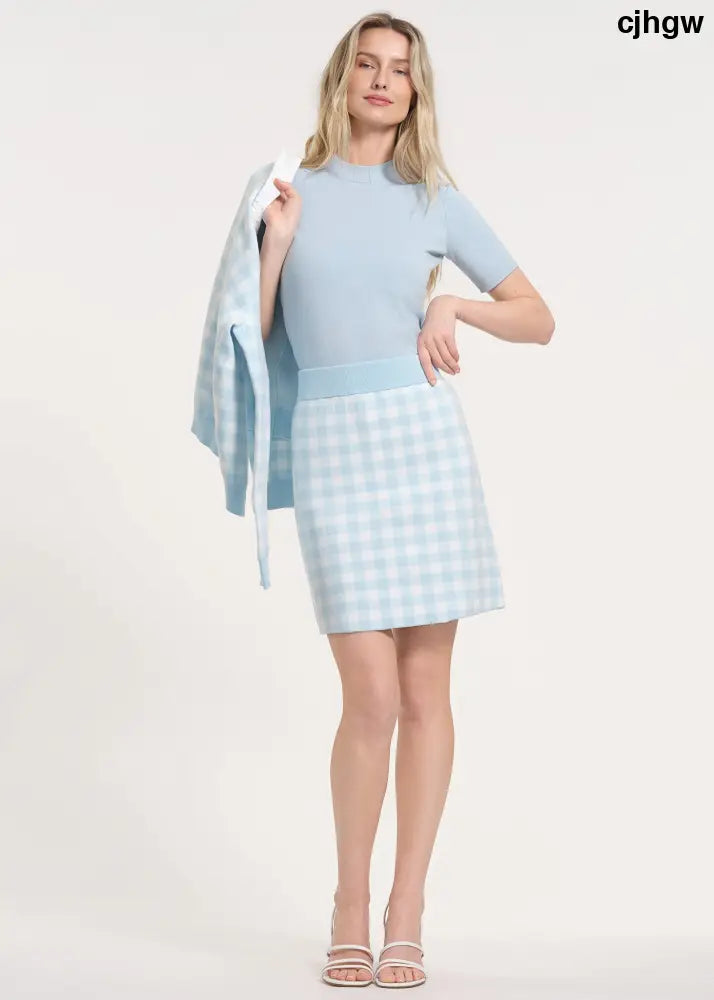Gingham Pattern Knit Skirt